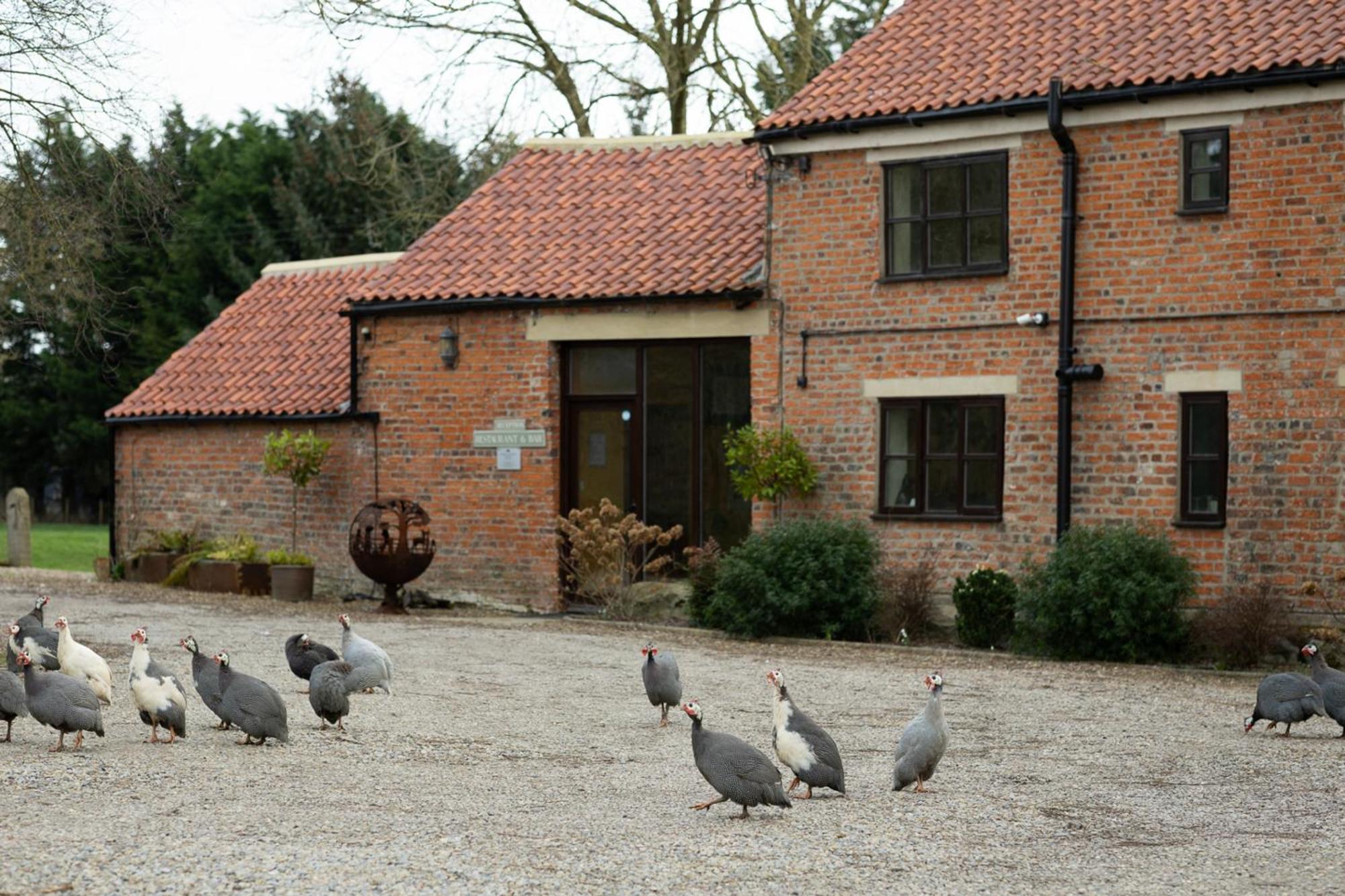 Brickfields Farm Bed and Breakfast Kirkbymoorside Buitenkant foto