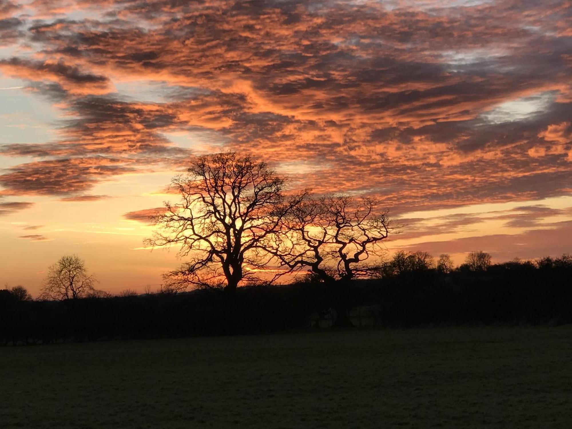 Brickfields Farm Bed and Breakfast Kirkbymoorside Buitenkant foto